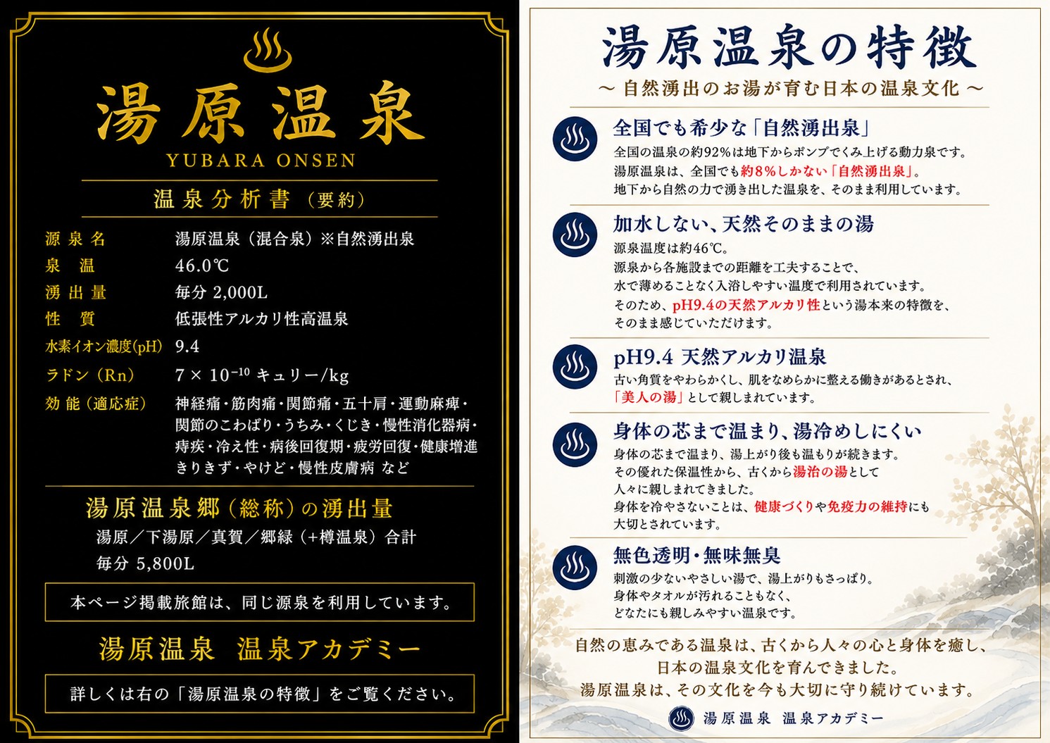 湯原温泉の温泉分析書　温泉の特徴　ゆう出量2000リットル/m　pH9.4　温度46℃